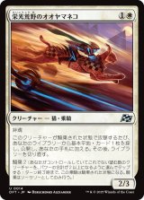 画像: 栄光荒野のオオヤマネコ