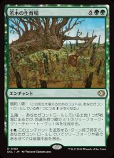 画像: 若木の生育場