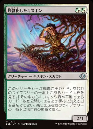 画像: 蝕甚化したキスキン