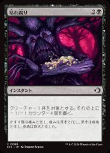 画像: 枯れ腐り