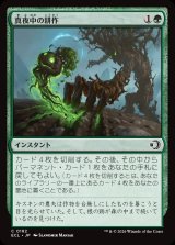 画像: 真夜中の耕作