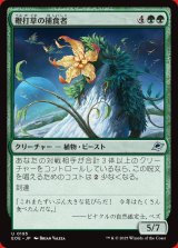 画像: 鞭打草の捕食者