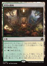 画像: 草茂る農地