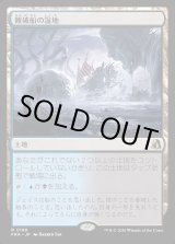 画像: 難破船の湿地