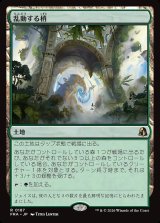 画像: 乱動する梢