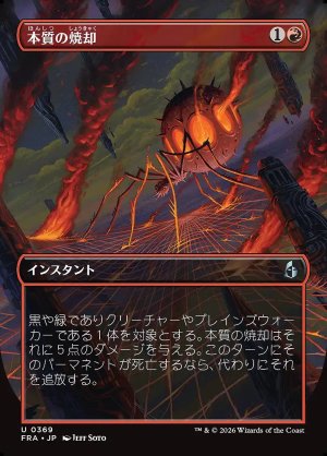画像: 本質の焼却(foil)