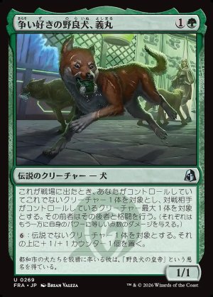 画像: 争い好きの野良犬、義丸