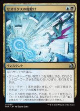 画像: セオリクスの魔除け
