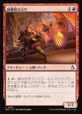 画像: 鼓膜揺さぶり