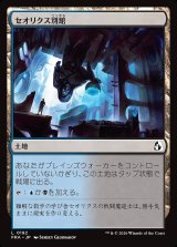 画像: セオリクス別館