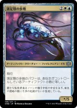 画像: 頭足類の歩哨