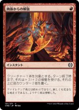 画像: 肉体からの解放