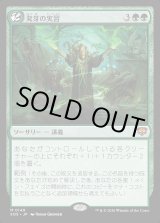 画像: 発芽の実習