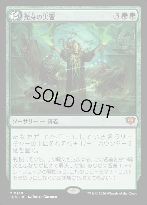 画像1: 発芽の実習