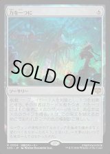画像: 力を一つに