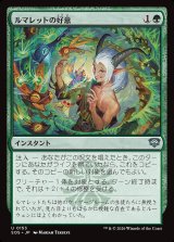 画像: ルマレットの好意