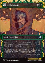 画像: 一繋がりの根