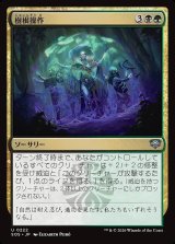 画像: 樹根操作