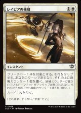 画像: レイピアの機知