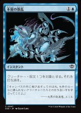 画像: 本質の散乱