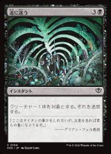 画像: 道に迷う