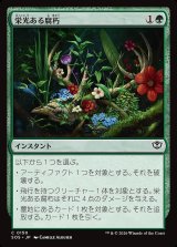 画像: 栄光ある腐朽