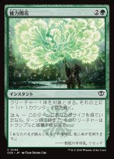 画像: 能力開花