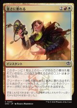 画像: 暑さに萎れる