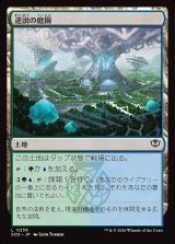 画像: 逆説の庭園