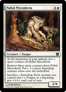 画像1: Pallid Mycoderm