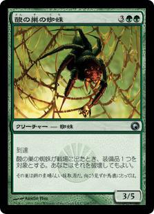画像1: 酸の巣の蜘蛛
