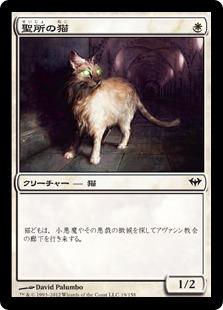 画像1: 聖所の猫
