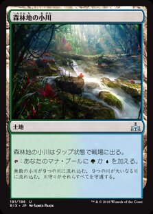 画像1: 森林地の小川