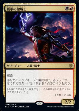 画像1: 嵐拳の聖戦士