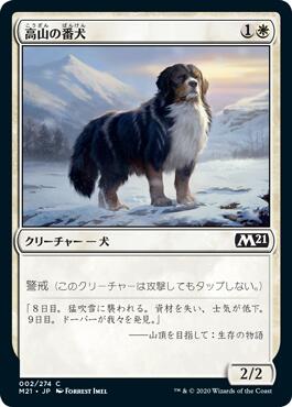 画像1: 高山の番犬