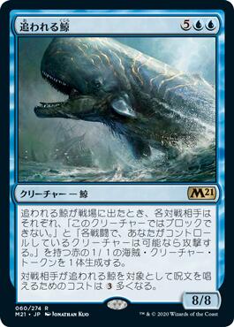 画像1: 追われる鯨