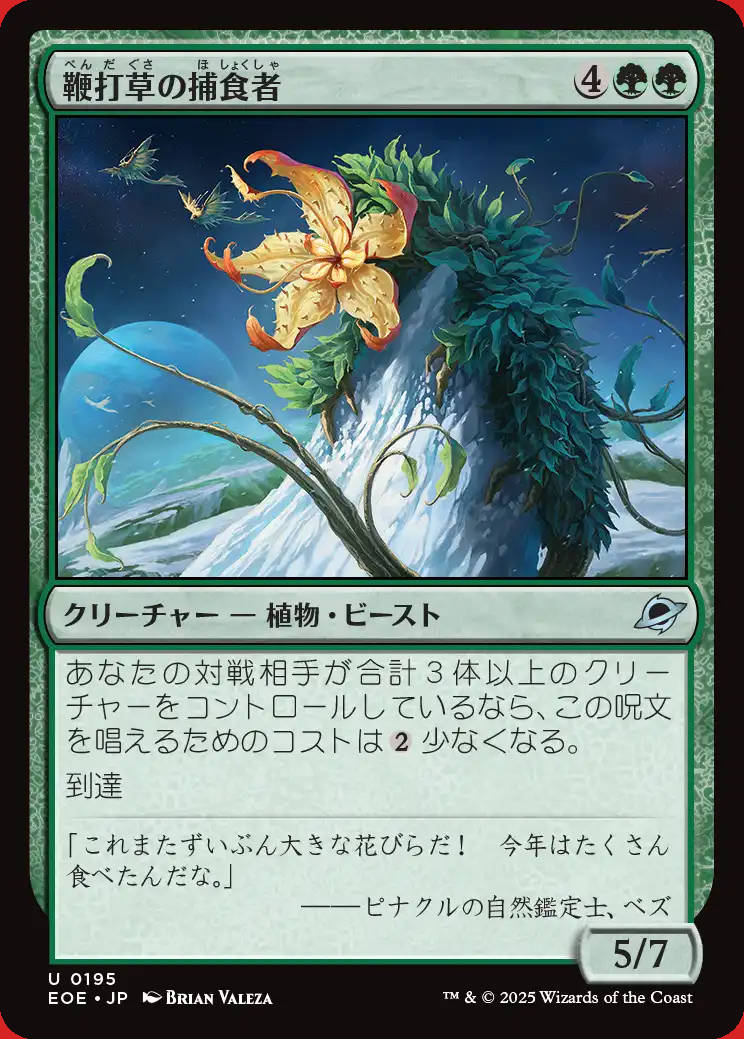 画像1: 鞭打草の捕食者