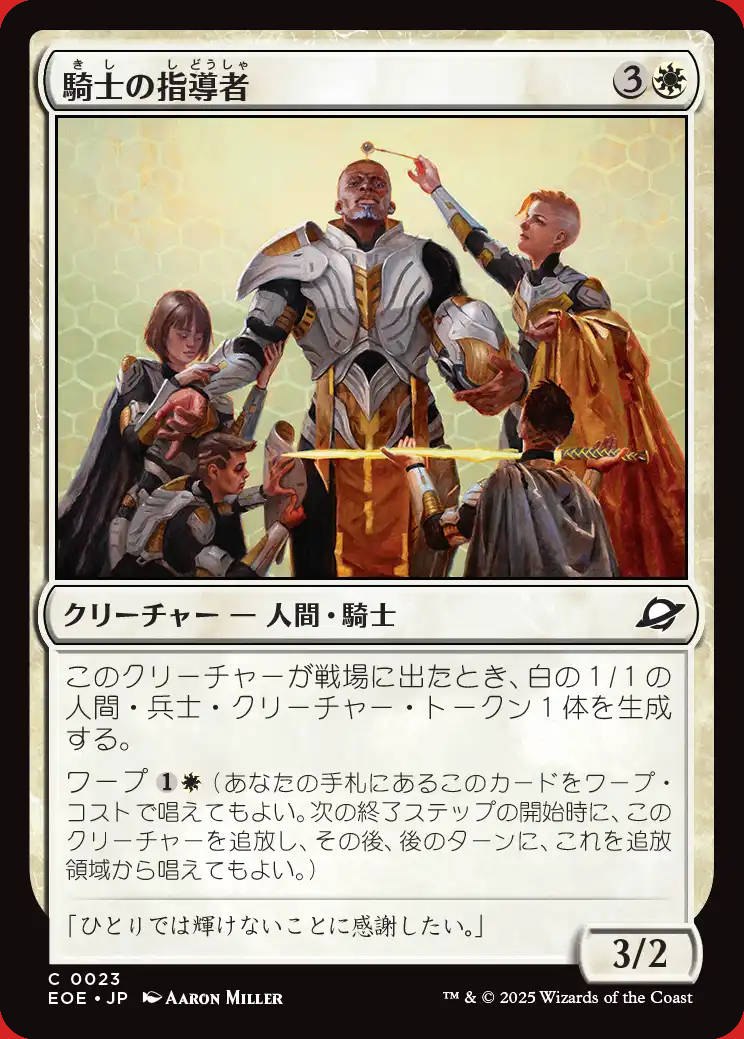 画像1: 騎士の指導者